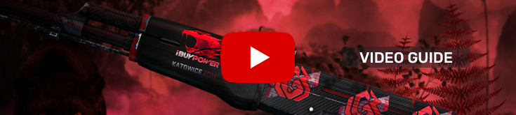 cs2-video-3